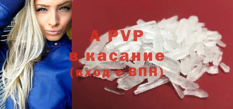 A-PVP СК КРИС  Барабинск 